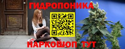 мяу мяу мука Гудермес