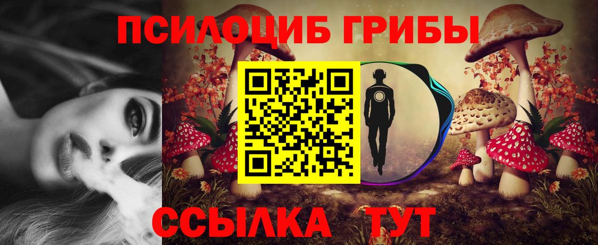 Галлюциногенные грибы прущие грибы Новозыбков