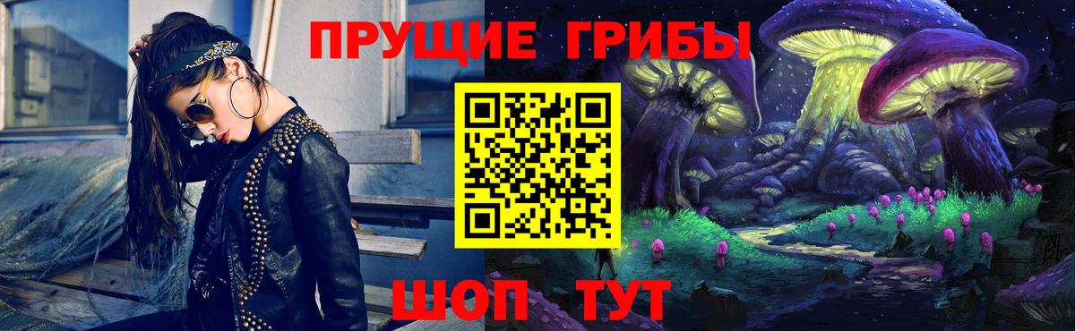 Псилоцибиновые грибы прущие грибы  Вход с VPN  Новозыбков 