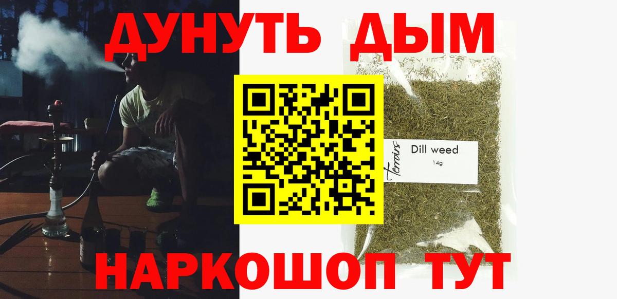 Канабис гибрид Новозыбков